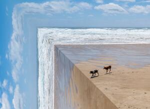 Ilustracija Perspective bending image of two dogs on a beach, ImagePatch, (40 x 30 cm)