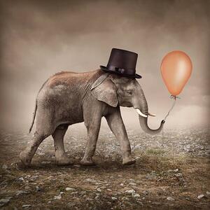 Ilustracija Elephant with a balloon, egal, (40 x 40 cm)