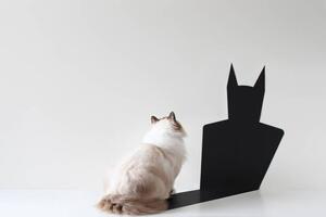 Ilustracija Conceptual ragdoll cat looking at bat shadow, pchyburrs, (40 x 26.7 cm)