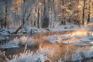 Umjetnička fotografija Morning by a frozen river in winter, Schon, (40 x 26.7 cm)