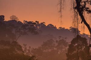 Fotografija Morning view of Endau Rompin National, shaifulzamri, (40 x 26.7 cm)