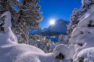 Fotografija Snowy forest lit by moon in winter, Switzerland, Roberto Moiola / Sysaworld, (40 x 26.7 cm)