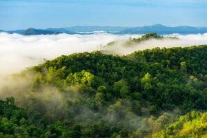 Umjetnička fotografija Beautiful mist over green forest on mountain., NirutiStock, (40 x 26.7 cm)