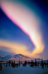Umjetnička fotografija USA, Alaska, Alaskan Range, Aurora Borealis, Johnny Johnson, (26.7 x 40 cm)