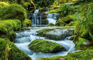 Fotografija Scenic view of waterfall in forest,Newton, Ian Douglas / 500px