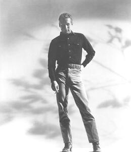 Umjetnička fotografija Paul Newman, (35 x 40 cm)
