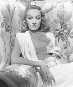 Umjetnička fotografija Marlene Dietrich, (35 x 40 cm)