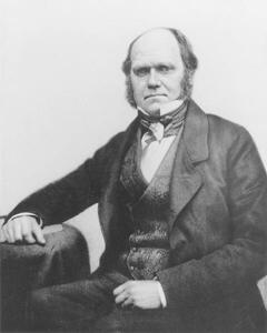Umjetnička fotografija Portrait of Charles Darwin, 1854, English Photographer,, (30 x 40 cm)