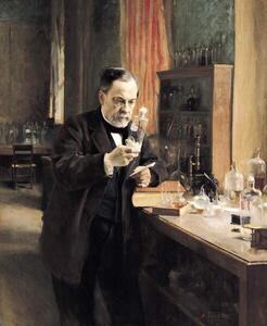 Fotografija Louis Pasteur in his Laboratory, 1885, Edelfelt, Albert Gustaf Aristides