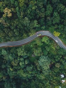 Fotografija Green road up the mountain in the rainy season, ArtRachen01, (30 x 40 cm)