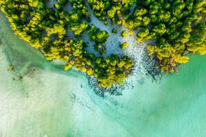 Fotografija Overhead view of a tropical mangrove lagoon, Roberto Moiola / Sysaworld, (40 x 26.7 cm)