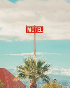 Umjetnička fotografija This Motel is for the Birds, Tom Windeknecht, (30 x 40 cm)