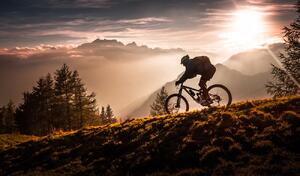 Fotografija Golden hour biking, Sandi Bertoncelj, (40 x 22.5 cm)