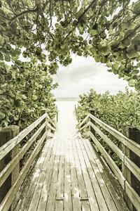 Umjetnička fotografija Bridge to the beach with mangroves | Vintage, Melanie Viola, (26.7 x 40 cm)