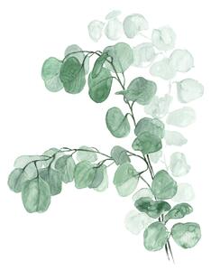 Ilustracija Watercolor silver dollar eucalyptus, Blursbyai, (30 x 40 cm)