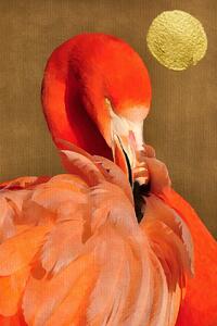 Ilustracija Flamingo With Golden Sun, Kubistika, (26.7 x 40 cm)
