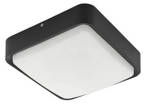 EGLO connect Piove-C LED vanjska zidna svjetiljka