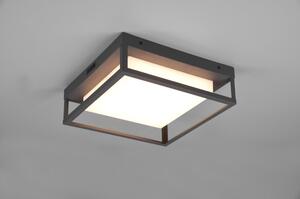 LED vanjska zidna lampa (visina 10 cm) Witham - Trio