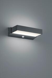 LED vanjska zidna lampa (visina 7 cm) Cuando - Trio
