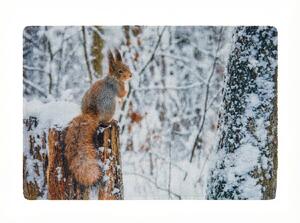 Božićna otirač WILD IN WHITE 38x58 cm - više varijanti Varijanta: Vjeverica
