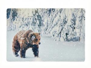 Božićna otirač WILD IN WHITE 38x58 cm - više varijanti Varijanta: Medvjed