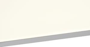 Stropna svjetiljka bijela 120 cm uklj. LED - Liv