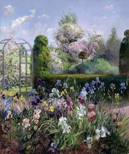 Timothy Easton - Reprodukcija umjetnosti Irises in the Formal Gardens, 1993, (35 x 40 cm)