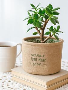 Sinsay - STORAGE BASKET