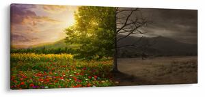 Slika - Životni ciklus (120x50 cm)
