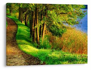 Slika staze uz vodu (70x50 cm)