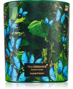 Vila Hermanos Jungletopia Blue Butterfly mirisna svijeća 200 g
