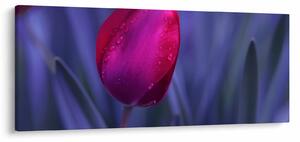 Slika pupoljka tulipana (120x50 cm)