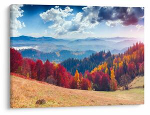 Slika šarenog jesenjeg krajolika (70x50 cm)
