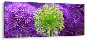 Slika cvijeta (120x50 cm)