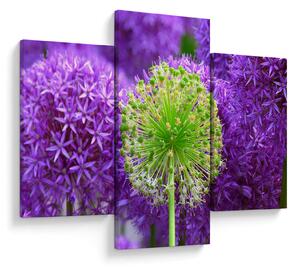 Slika cvijeta (90x60 cm)