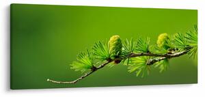 Slika zelenog češera (120x50 cm)