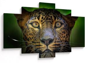 Slika - Portret leoparda, Šri Lanka (150x105 cm)