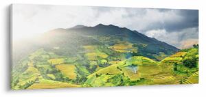 Slika plantaže (120x50 cm)