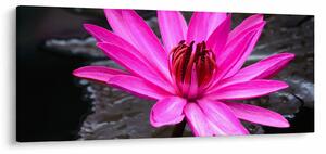 Slika - ružičasti cvijet (120x50 cm)