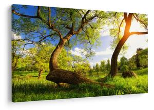 Slika proljetne livade (90x60 cm)
