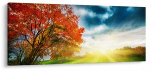 Slika krajolika okupanog sunčevom svjetlošću (120x50 cm)