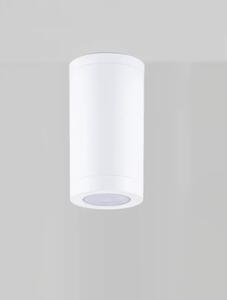 SPOT VANJSKI STROPNI REFLEKTOR 1×GU10/230V IP54 BIJELA NL9030822
