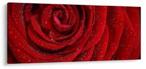 Slika - detalj ruže (120x50 cm)