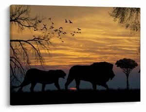 Safari slika (70x50 cm)