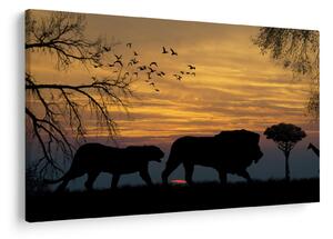 Safari slika (90x60 cm)