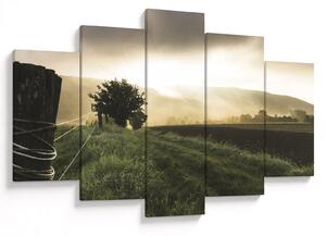 Slika livade (150x105 cm)
