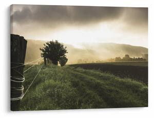 Slika livade (70x50 cm)
