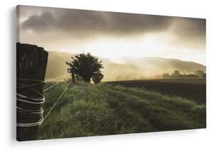 Slika livade (90x60 cm)