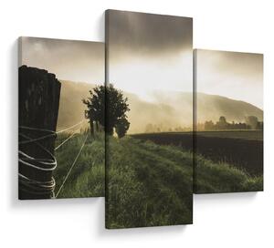 Slika livade (90x60 cm)