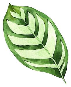 Ilustracija Watercolor hand painted green tropical leaves,, DZHAMILIA ABDULAEVA, (40 x 40 cm)